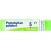Podophyllum peltatum 5ch gr bo - - 800024299