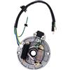 Windance 2 bobine di accensione magneto statore piastra per 50cc 70cc 90cc 110cc 125cc cinese Dirt Bike Taotao Kazuma SSR Baja ATV Quad 4 ruote