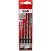 EINHELL SET PUNTE MURO SDS PLUS 4 PEZZI -EIN49240500