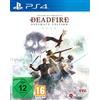 THQ Nordic Pillars of Eternity II: Deadfire