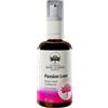 Green Remedies AUSTRALIAN BUSH FLOWER ESSENCES PASSION LOVE VAPORIZZATORE 50 ML