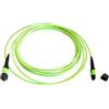 efbe Schott EFB-Elektronik MTP¬-F/MTP¬-F Cavo patch a matrice a 12 fibre, OM5, LSZH verde lime, Codice B, 15 m Produttore: EFB Elektronik (MTPF12MTPFOM5-15)