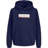JACK & JONES Junior Jorinwood Block Branding Sweat Noos Jnr, Ocean Cavern, 176