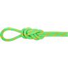 Mammut 8.0 Alpine Dry Rope corda arrampicata
