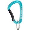 Mammut Mammut Mini Carabiner Classic Keylock S moschettone portachiavi