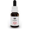 BUSH BIOTHERAPIES Pty Ltd Old Man Banksia Australian Bush Flower Essences 15ml