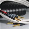 WIREWORLD STREAM 10 SPEAKER CABLE COPPIA CAVI DI POTENZA 3M NUOVI