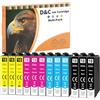 D&C 12 x Cartucce 18XL compatibili con Epson 18 XL per Epson Expression Home XP-322 XP-405 XP-312 XP-412 XP-305 XP-205 XP-302 XP-325 XP-415 XP-215 XP-102 XP-425 XP-225 XP-202 XP-315