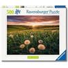 Ravensburger Puzzle da 500 Pezzi - Denti di Leone al Tramonto