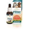 BUSH BIOTHERAPIES Pty Ltd DIFFIDENCE & TIMIDITY 30ML