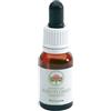 BUSH BIOTHERAPIES Pty Ltd BORONIA AUSTRALIAN Gtt 15ml