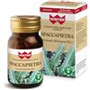 Winter Spaccapietra 30 St