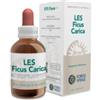 FORZA VITALE ITALIA SRL LES FICUS CARICA GOCCE 50ML