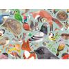 Ravensburger Puzzle 500 Pezzi Aurora Boreale a Tromsø, Norvegia – Puzzle Adulti +14 anni, 49 x 36 cm, Puzzle per Adulti, Collezione 500 Pezzi, Idee Regalo
