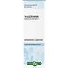 ERBA VITA GROUP SpA Erba Vita Valeriana Radice Soluzione 50ml - Integratore Tintura Idroalcolica