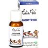 Edis Pets Bio Fiori di Bach per Cani con Istinto di Caccia 20 g Globul
