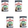 Royal Canin Digest Sensitive Cibo Umido | Confezione da 4 | 4 x 12 x 85g | Alimento completo per gatti adulti | Può contribuire a ridurre l'odore delle feci