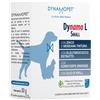 dynamopet Dynamo L Small 20 Bustine Appetibili Da 2,5 G