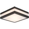 Lightbox Plafoniera da esterno 9 x 29 cm | Plafoniera da esterno a 2 fiamme | per patio o casetta da giardino | 2 prese E27 | in acciaio inox/plastica nei colori antracite/bianco