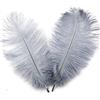 Duories 10 piume di struzzo naturali da 20 - 25 cm, per fai da te, per acchiappasogni, accessori per la casa, costumi, decorazione per la tavola, matrimoni, feste, cappelli decorativi, colore: grigio
