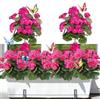 Avoik 4 pacchetti di fiori artificiali gerani piante finte per esterni, primavera ed estate, decorazione di fiori di seta finti, resistenti ai raggi UV, piante da interno per