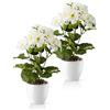 PASCH® Geranie artificiali in vaso di ceramica lucido | Fiori artificiali in vaso | Fiori artificiali come veri | Fiori finti | Fiori artificiali come veri (Bianco, 2 pezzi, 25 cm)