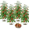 LUMYCE 4 set Pali per Pomodori: LUMYCE 130CM Sostegni per Pomodori - Traliccio per Pomodori Peonie Vite Piante Rampicanti