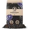 SYBASoil Sybotanica - Terricio per Anthurium 5 L - Substrato di cocco premium per Anthurium, Bromelia - Senza torba - Concime organico 180 giorni - Ideale per piante da interno