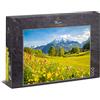 Ulmer Puzzleschmiede - Puzzle Bergsommer - Elegante puzzle da 1000 pezzi - vista sui prati fioriti sul massiccio Watzmann nelle Alpi Berchtesgaden, Baviera, Germania