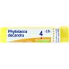 Phytolacca decandra*5ch 80gr - - 045879044