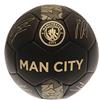 Manchester City FC Skill Ball Signature Gold PH