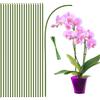 HOUNANG - Supporto per piante, 40 cm, 20 pezzi, per interni ed esterni, per orchidee flessibili in metallo verde, supporto per piante, asta professionale