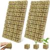 BSTDAYEVER Cubi di Lana di Roccia Giardinaggio Lana di Roccia 100pcs Rockwool Cube 2.5x2.5x3cm Blocco in Lana di Roccia Buona permeabilità ed Ecologica per Verdure La Coltivazione Talee e Trapianto