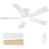 Passky Ventilatore da soffitto da 107 cm con illuminazione e telecomando, motore DC silenzioso, 6 velocità, lampada LED dimmerabile, 3 temperature di colore, bianco