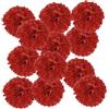 PATIKIL 20cm Pompon Carta Velina, 12Pz Fiori di Carta Pom Poms Decorativi Colorati per Matrimoni Addio Nubilato Compleanno Decorazioni Sfondo, Rosso