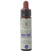 PRINCEPS Srl Fiori Di Bach 26 Rock Rose Gtt