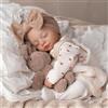 BABESIDE Bambole Reborn Femmina - 17 pollici Bambola Realistica per Bambina Corpo in Tessuto Morbido - Realistiche Neonato Bambolotti Per Bambina Con Set di Vestiti e Accessori