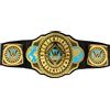 Mattel WWE Championship Title, campione intercontinentale, accessorio per bambini per giochi di ruolo e costumi, lunghezza 3+ piedi con regolazione una tantum