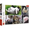 Trefl, Puzzle, Interessi dei Gatti, 1500 Elementi, qualità premium, per adulti e Bambini dai 12 anni