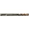 Milwaukee Ryobi, Punta SDS-Plus RX4 per trapano perforatore 10 x 110 mm, 4932352025