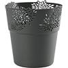 VERDENIA Aster 20527 - Vaso decorativo per piante, in plastica, motivo traforato, in molti colori, 13 cm, colore: antracite