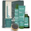 Weleda Haircare set regalo Set per la cura dei capelli 1 pz.