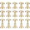 QUARKZMAN 25Pack Viti Chicago in Ottone, 6x10mm Testa Piatta Chiodo Rivetto per Fai Da Te Cintura in Pelle, Oro