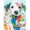 OWN4B Kit per punto croce su tela stampata con cane colorato, 11 ct, 36 x 46 cm, kit da ricamo fai da te (cane)