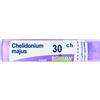 BOIRON Srl Chelidonium m boi*30ch 80gr 4g - BOIRON - 047565852