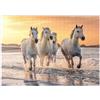 MyPuzzle.com MyPuzzle - Puzzle da 500 pezzi, collezione speciale MyPuzzle Galaxy