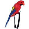 Bristol Novelty- Accessorio per Pappagallo su Bracciale, Multicolore, Taglia Unica, BA351