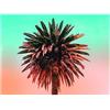 Komar WTD P051-40x30 - Poster da parete, motivo: palm Tree