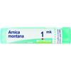 BOIRON Arnica mk gr 4g - BOIRON - 801344019