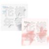 BTS IN THE MOOD FOR LOVE/PT.1 Album 2 Ver SET/2 CD+2 Fotolibro+2 Card+REGALO